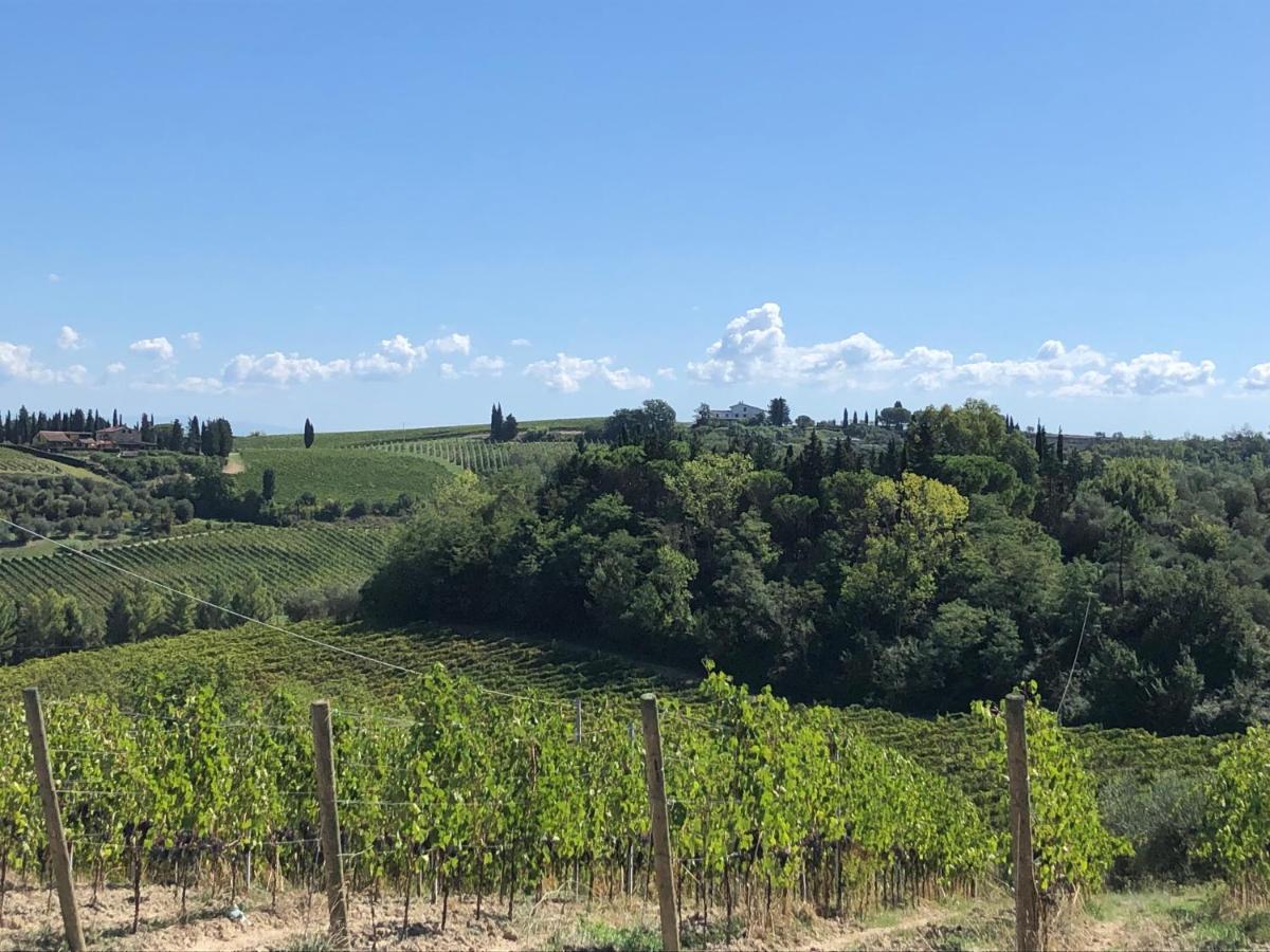 Casale Il Fontanellino - Country House Near Florence Сан Миниато Екстериор снимка